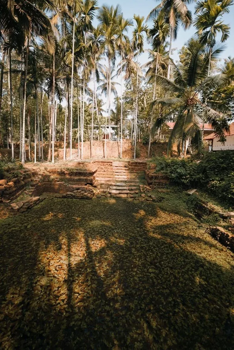 കുളം — നവീകരണത്തിനു മുൻപ്